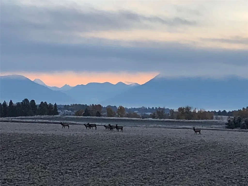 1555 Stillwater Road Kalispell MT 59901