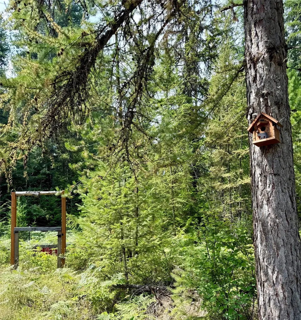 1234 Mount Highway 200 Noxon MT 59853