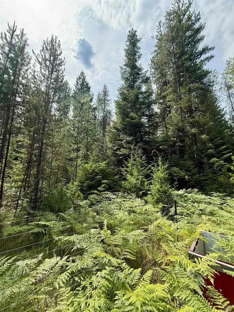 1234 Mount Highway 200 Noxon MT 59853
