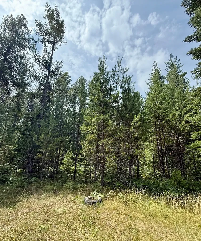 1234 Mount Highway 200 Noxon MT 59853