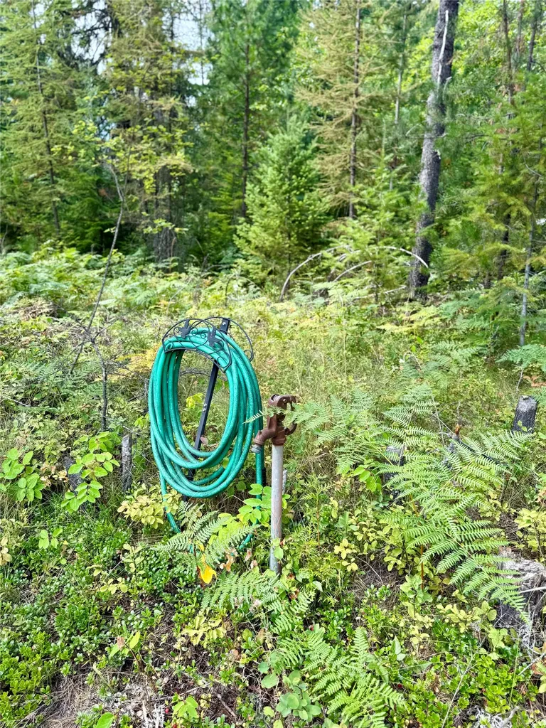 1234 Mount Highway 200 Noxon MT 59853