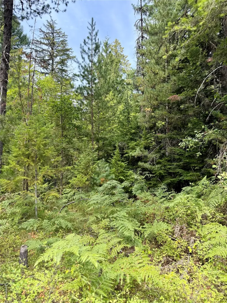 1234 Mount Highway 200 Noxon MT 59853