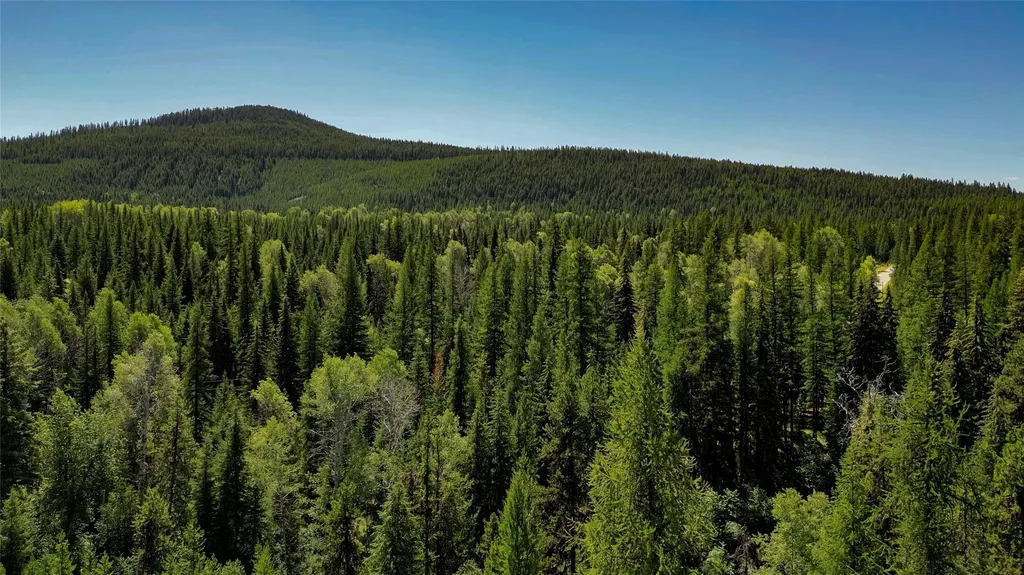 201 Swamp Creek Road Trego MT 59934