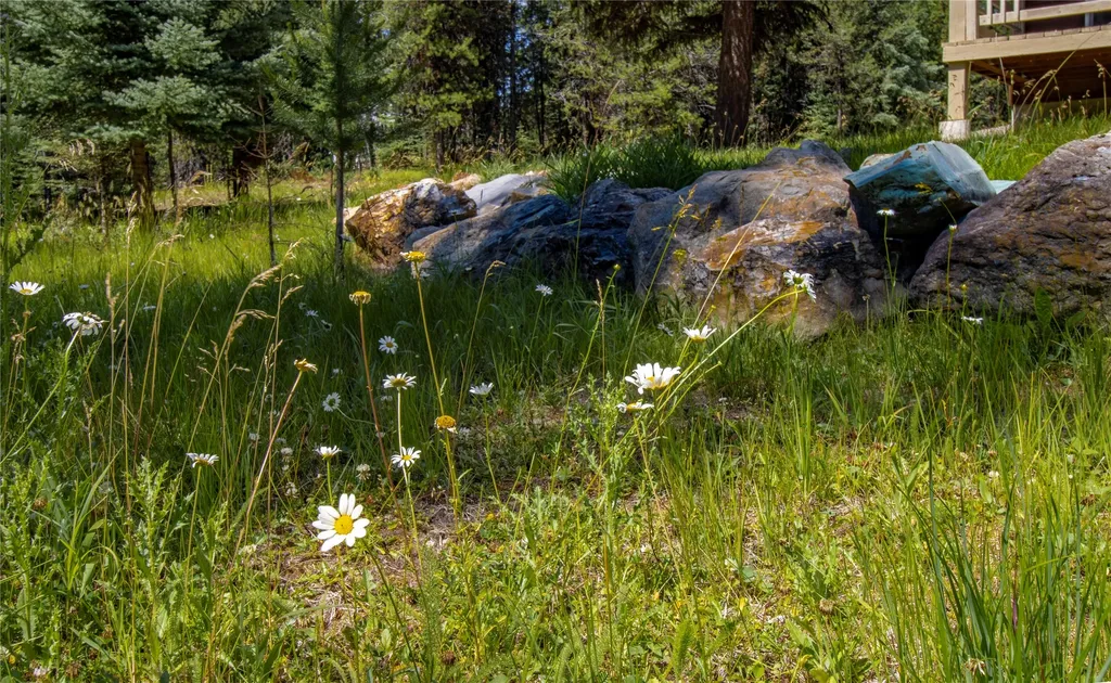 201 Swamp Creek Road Trego MT 59934