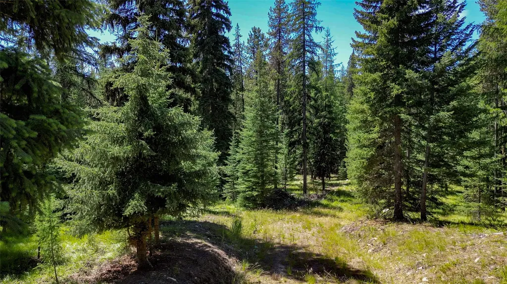 201 Swamp Creek Road Trego MT 59934