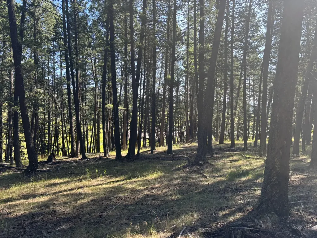 704 Morning View Drive Kalispell MT 59901