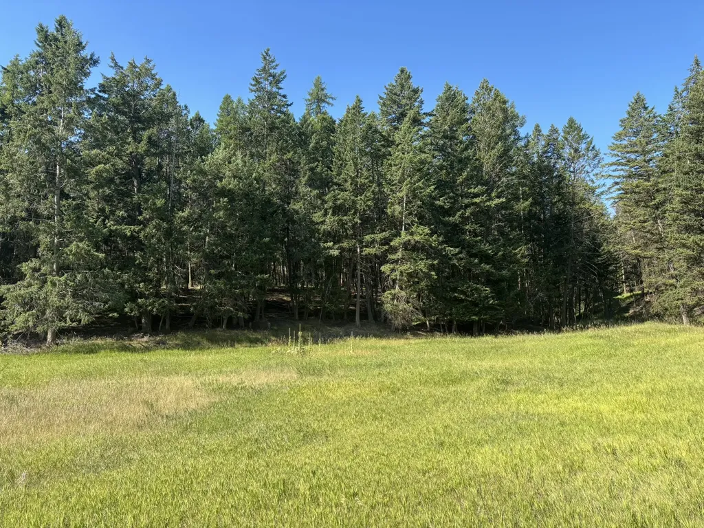 704 Morning View Drive Kalispell MT 59901