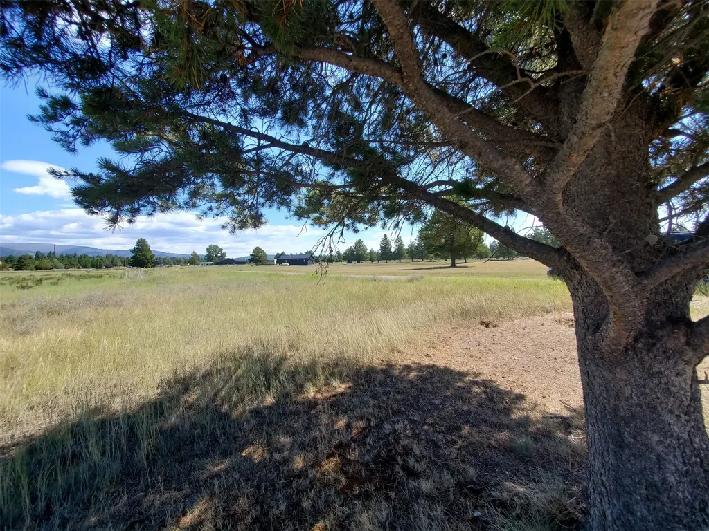 4070 Dutchman Lane Lincoln MT 59639
