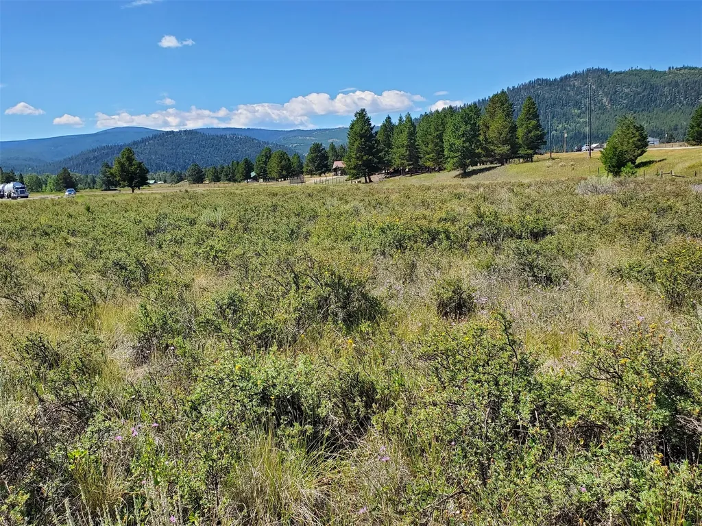 4070 Dutchman Lane Lincoln MT 59639