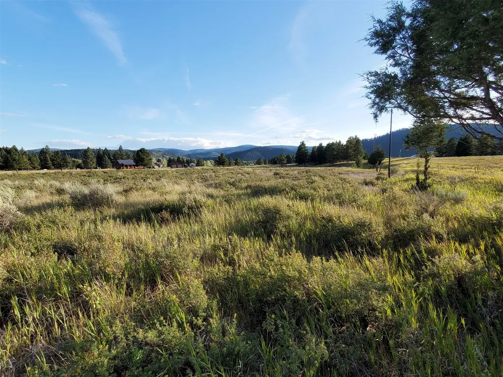 4070 Dutchman Lane Lincoln MT 59639