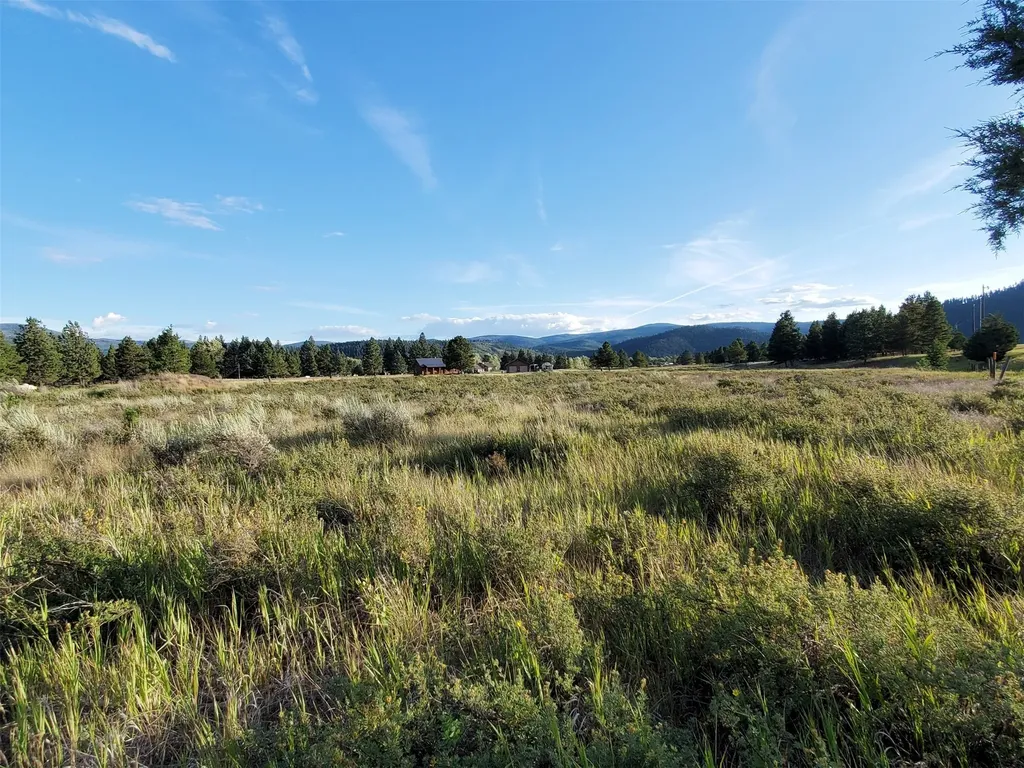 4070 Dutchman Lane Lincoln MT 59639