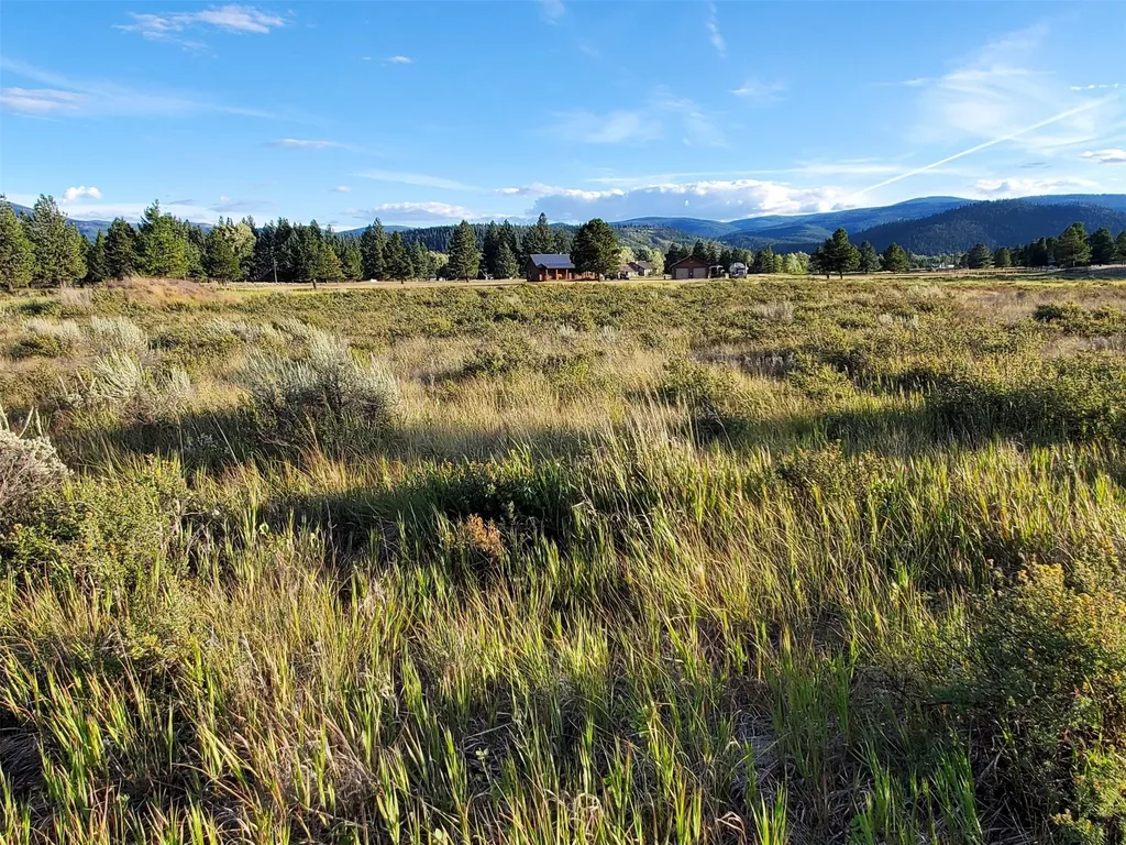 4070 Dutchman Lane Lincoln MT 59639