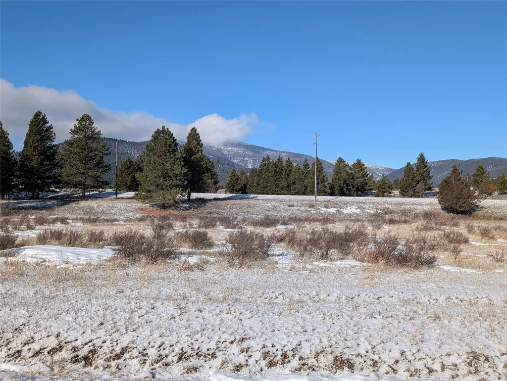 4070 Dutchman Lane Lincoln MT 59639