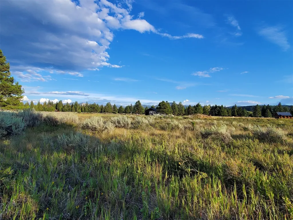 4070 Dutchman Lane Lincoln MT 59639