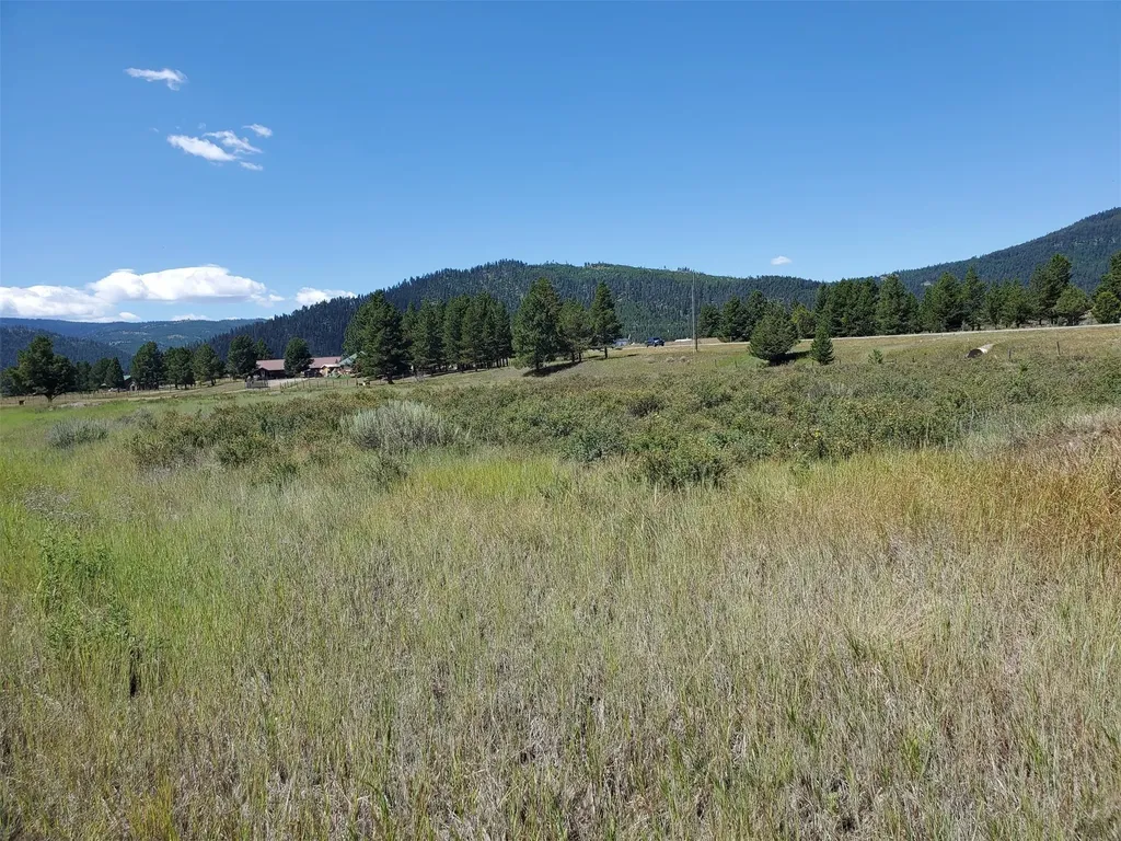 4070 Dutchman Lane Lincoln MT 59639