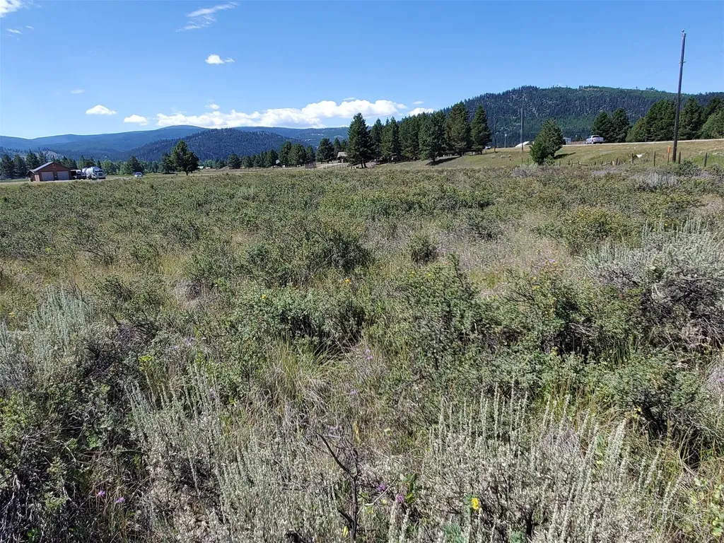 4070 Dutchman Lane Lincoln MT 59639