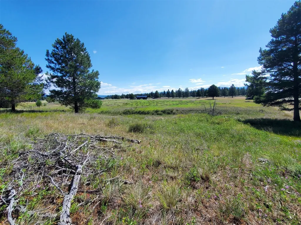 4070 Dutchman Lane Lincoln MT 59639