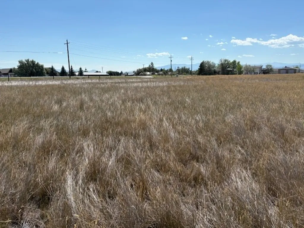 1194 Hunter Road Helena MT 59602