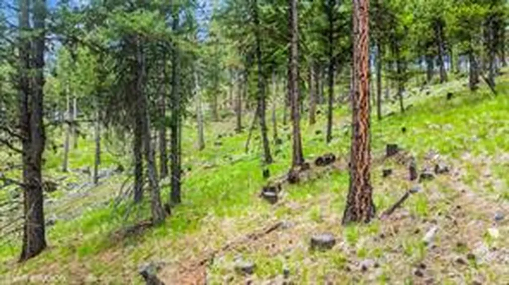 321 Lobo Lane Marion MT 59925
