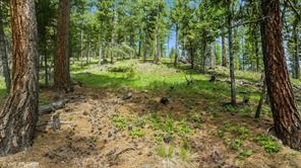 321 Lobo Lane Marion MT 59925
