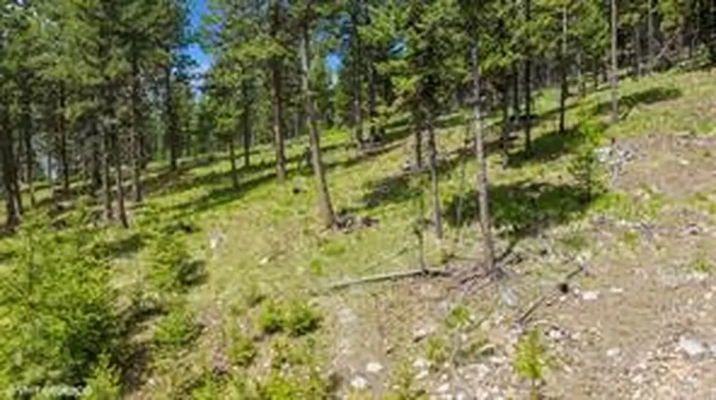 321 Lobo Lane Marion MT 59925