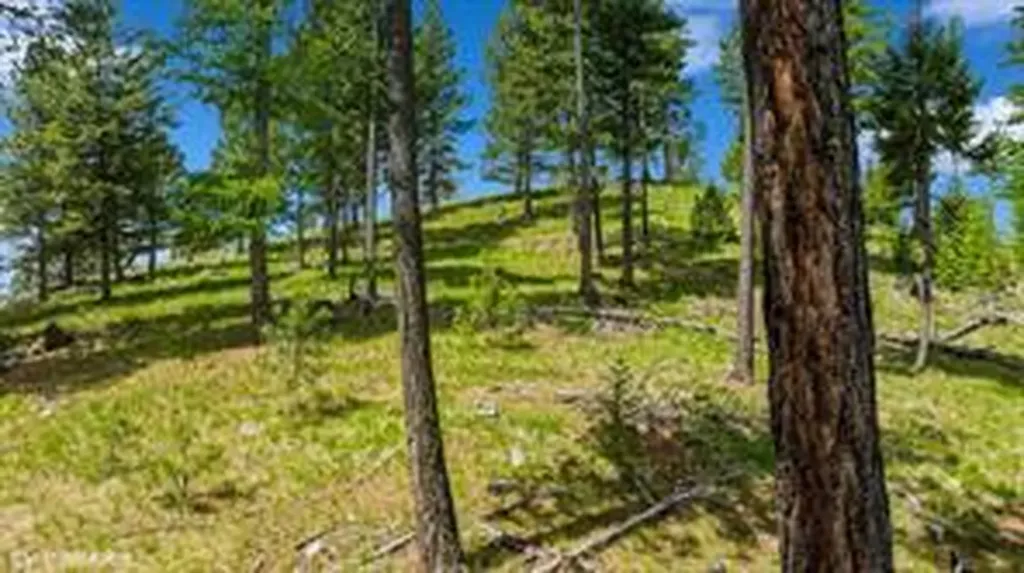 321 Lobo Lane Marion MT 59925