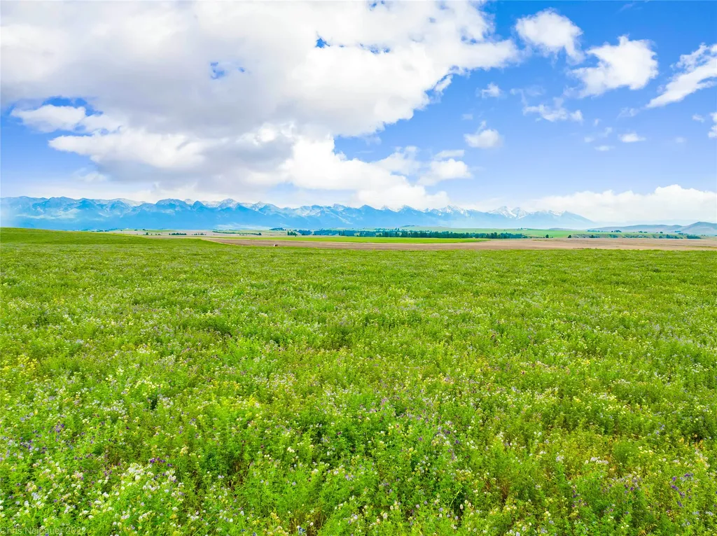 Nhn Camas Road Polson MT 59860