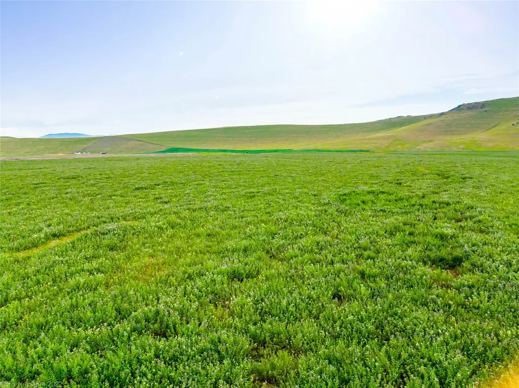 Nhn Camas Road Polson MT 59860