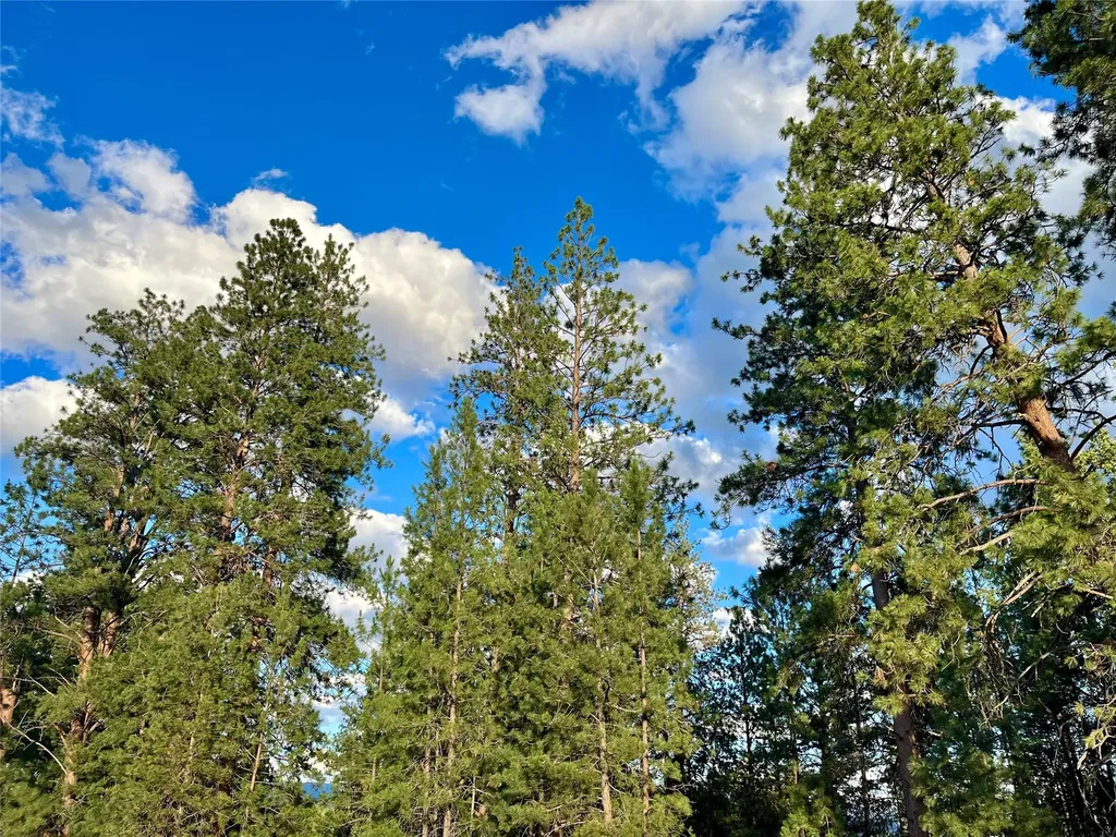 461 Sunrider Lane Florence MT 59833