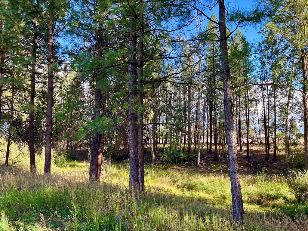 461 Sunrider Lane Florence MT 59833