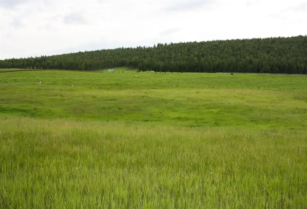 5765 W Kootenai Road Rexford MT 59930
