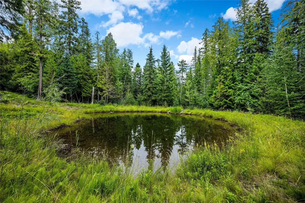 90 Woodland Star Circle Whitefish MT 59937