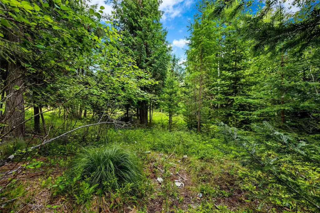 90 Woodland Star Circle Whitefish MT 59937