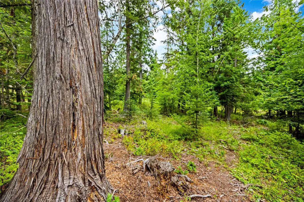 90 Woodland Star Circle Whitefish MT 59937