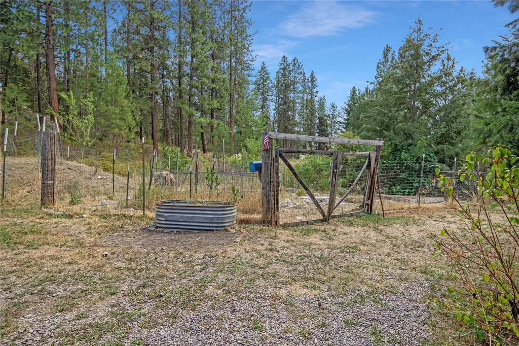 193 Buffalo Bill Road Plains MT 59859