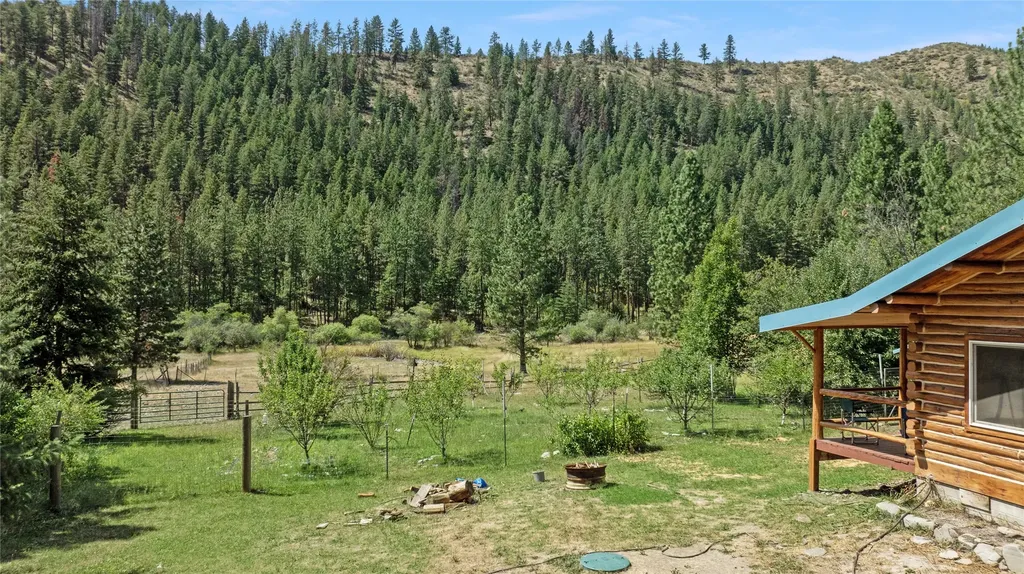 193 Buffalo Bill Road Plains MT 59859