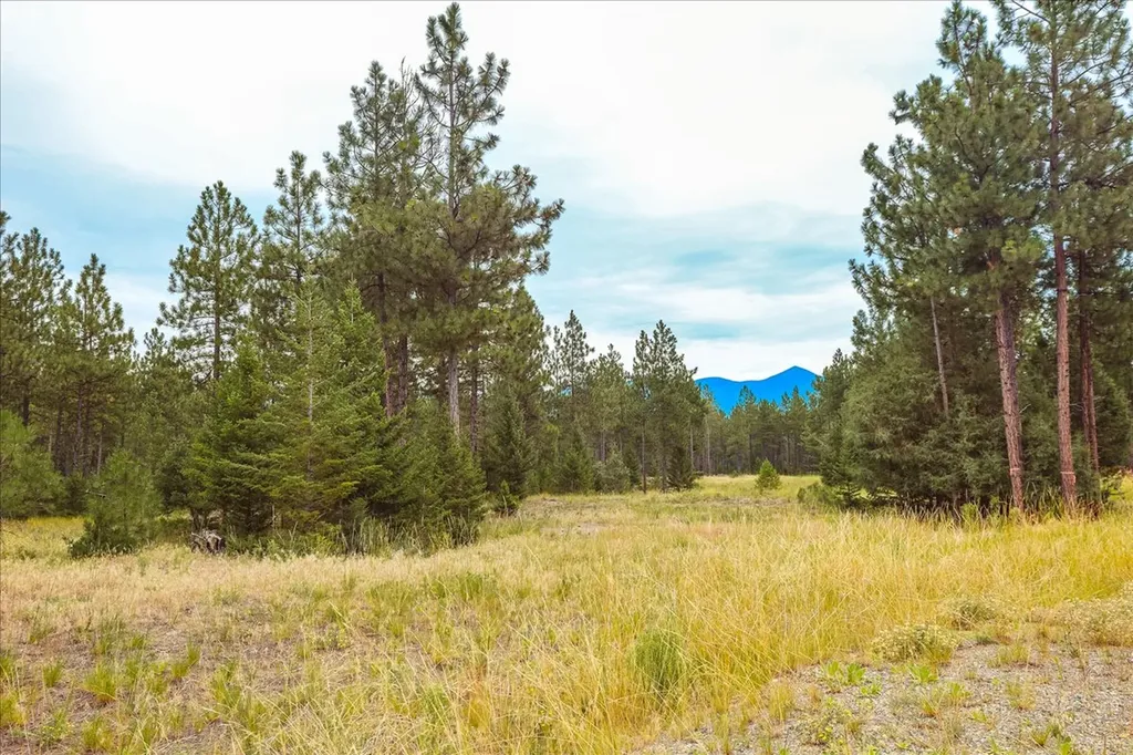53 Mccracken Trail Eureka MT 59917
