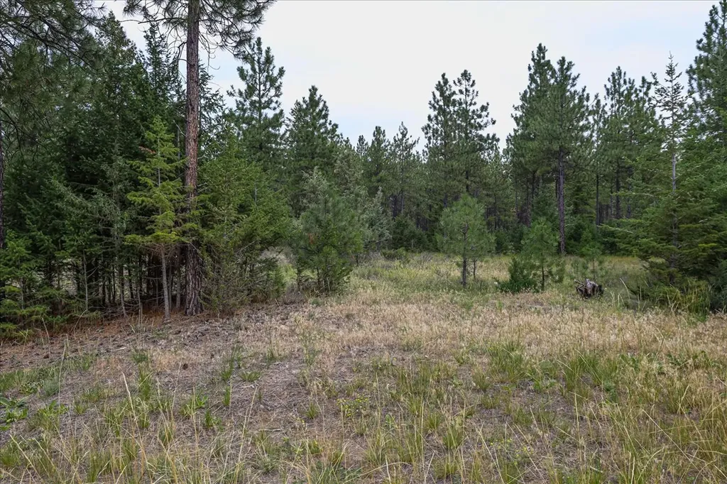 53 Mccracken Trail Eureka MT 59917