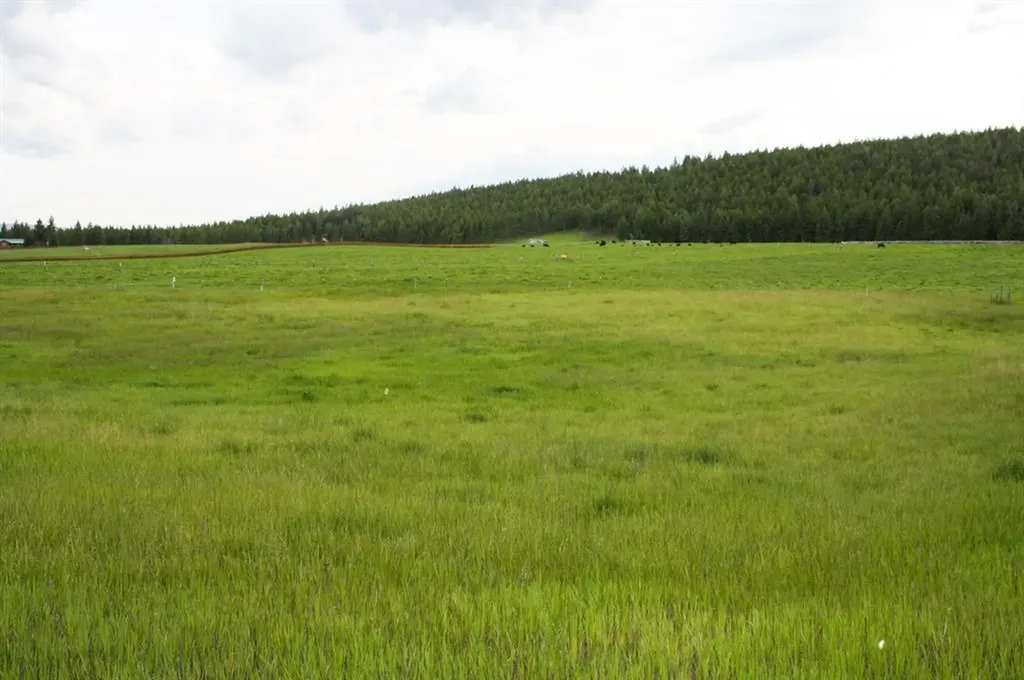5855 W Kootenai Road Rexford MT 59930