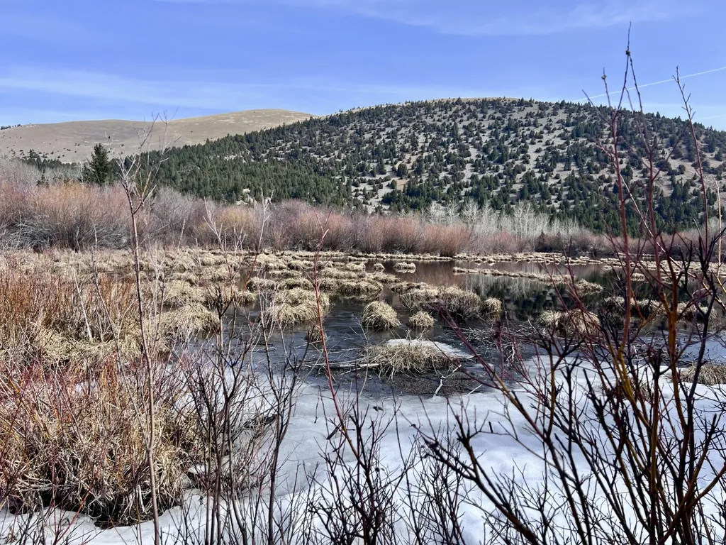 Nhn Lost Creek Road Anaconda MT 59711