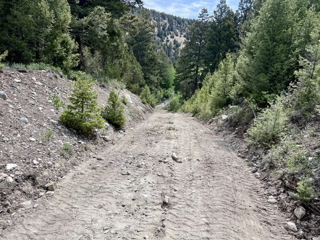 Nhn Lost Creek Road Anaconda MT 59711