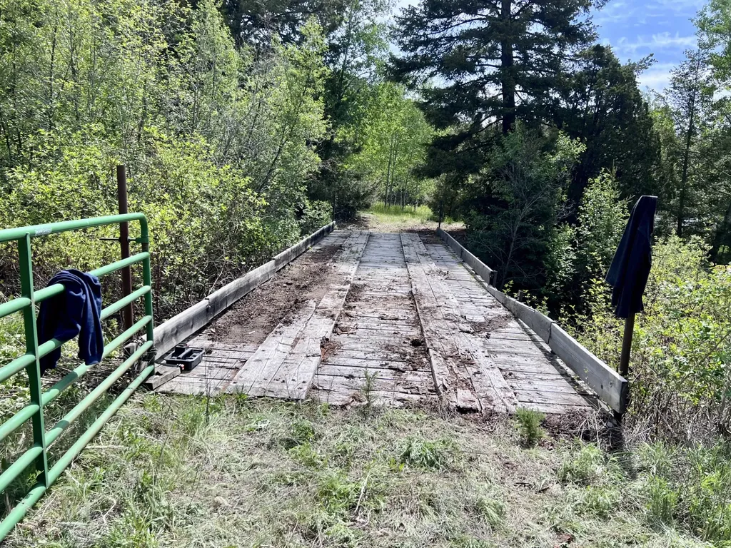 Nhn Lost Creek Road Anaconda MT 59711