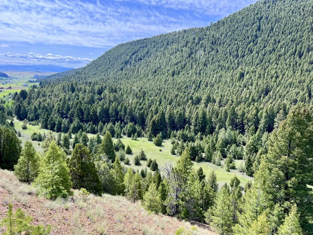 Nhn Lost Creek Road Anaconda MT 59711