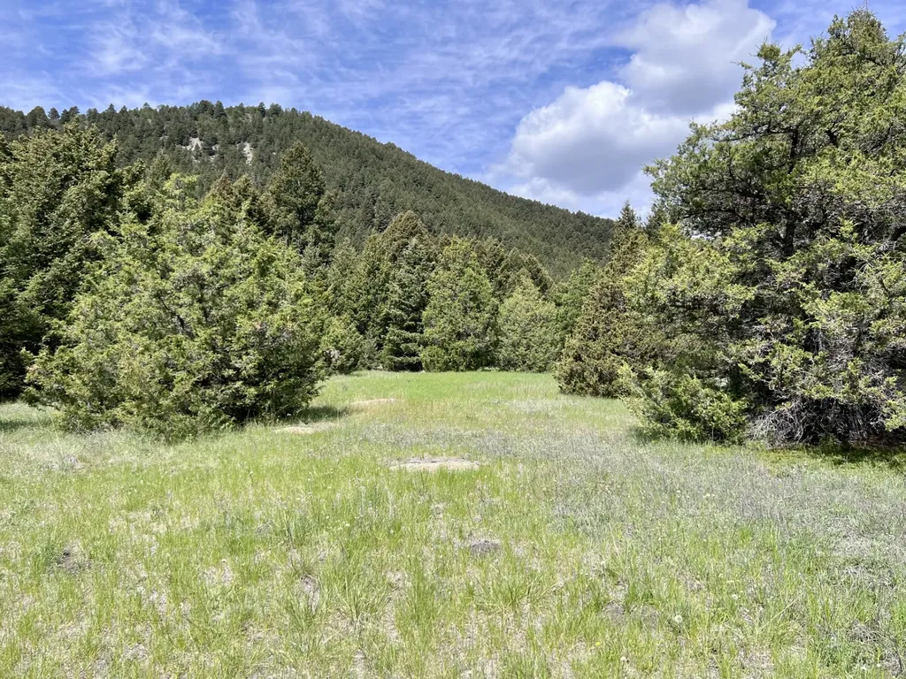 Nhn Lost Creek Road Anaconda MT 59711