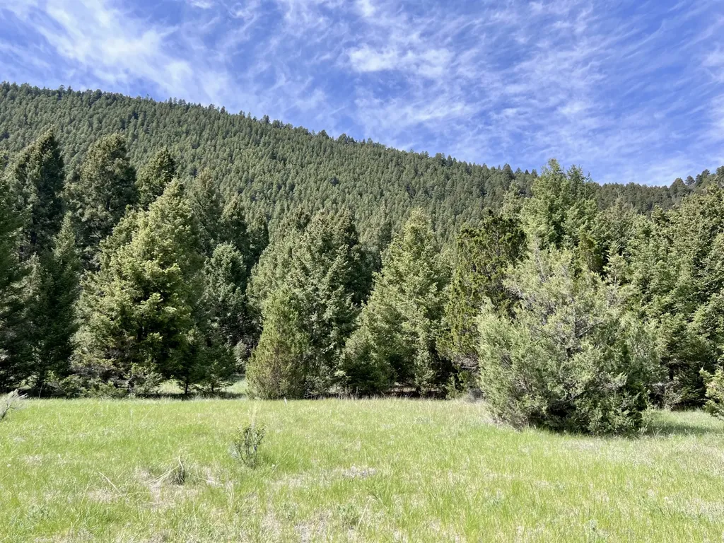 Nhn Lost Creek Road Anaconda MT 59711
