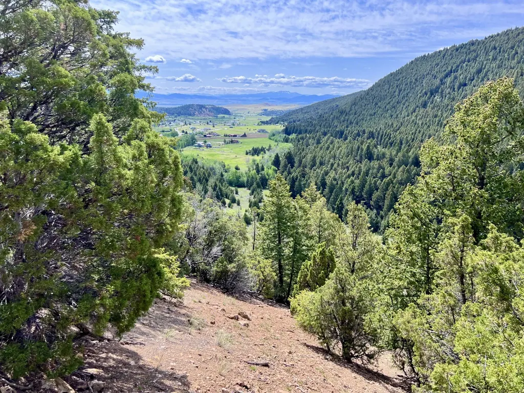 Nhn Lost Creek Road Anaconda MT 59711