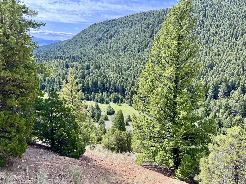 Nhn Lost Creek Road Anaconda MT 59711