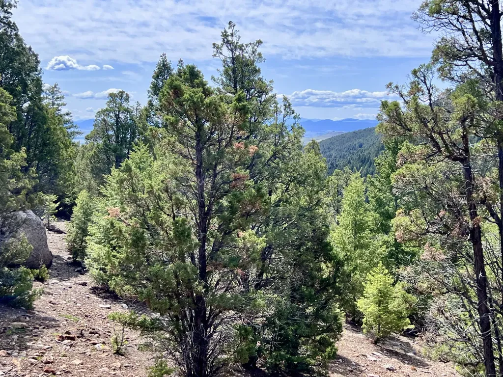 Nhn Lost Creek Road Anaconda MT 59711
