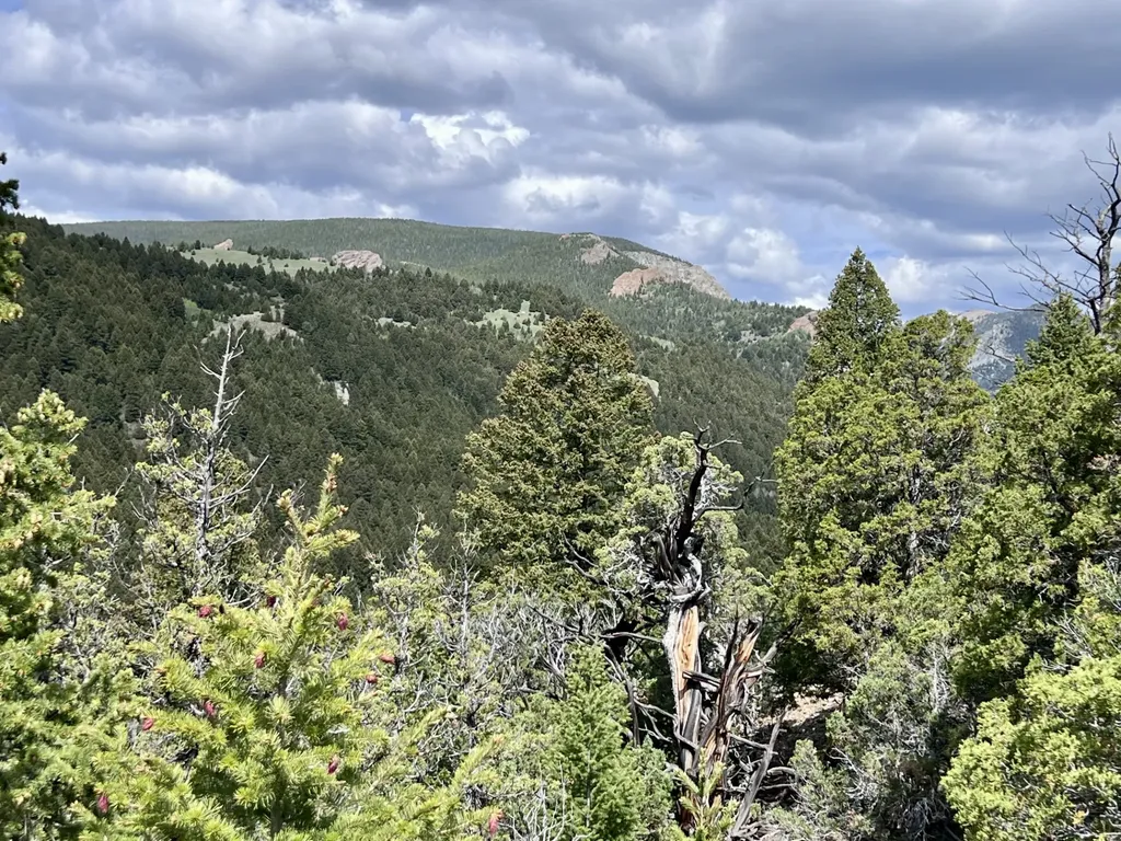 Nhn Lost Creek Road Anaconda MT 59711