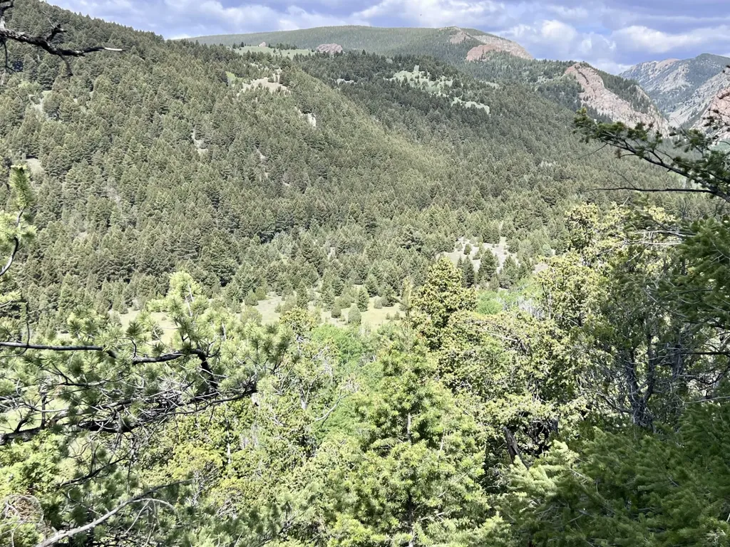 Nhn Lost Creek Road Anaconda MT 59711